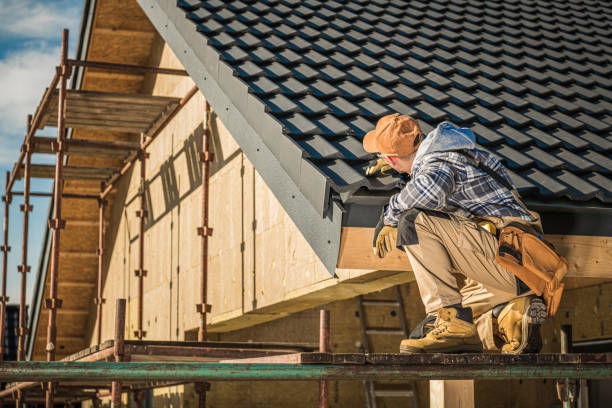 Best Gutter Installation and Repair  in Rock Falls, IL
